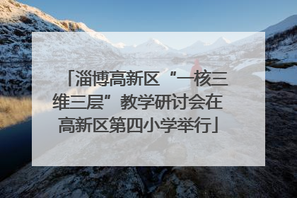 淄博高新区“一核三维三层”教学研讨会在高新区第四小学举行