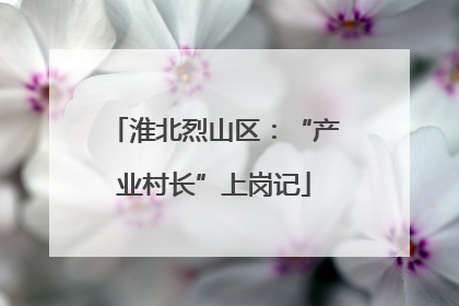 淮北烈山区：“产业村长”上岗记