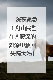 深夜紧急！舟山民警在齐腰深的滩涂里救回失踪大妈