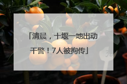 清晨，十堰一地出动干警！7人被拘传