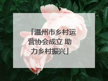 温州市乡村运营协会成立 助力乡村振兴