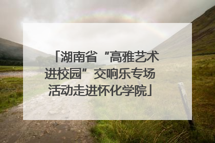 湖南省“高雅艺术进校园”交响乐专场活动走进怀化学院