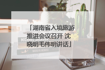 湖南省入境旅游推进会议召开 沈晓明毛伟明讲话