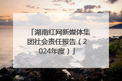 湖南红网新媒体集团社会责任报告（2024年度）