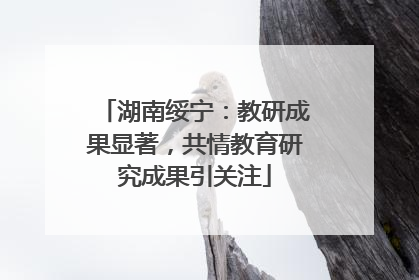 湖南绥宁：教研成果显著，共情教育研究成果引关注