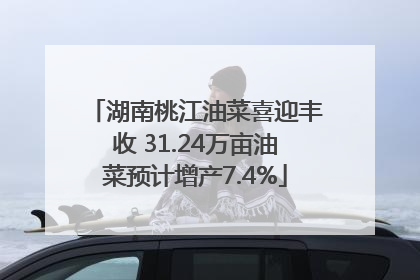 湖南桃江油菜喜迎丰收 31.24万亩油菜预计增产7.4%