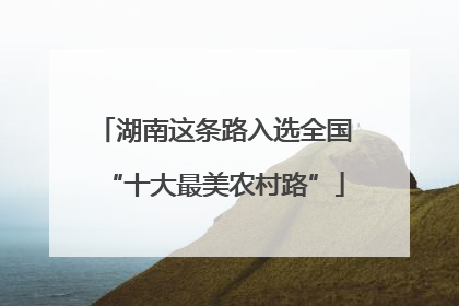 湖南这条路入选全国“十大最美农村路”