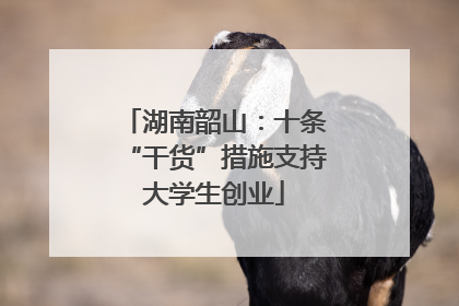 湖南韶山：十条“干货”措施支持大学生创业