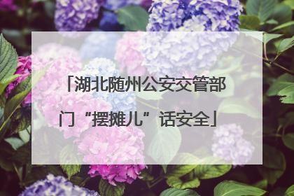 湖北随州公安交管部门“摆摊儿”话安全