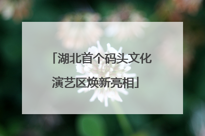 湖北首个码头文化演艺区焕新亮相