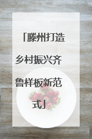 滕州打造乡村振兴齐鲁样板新范式