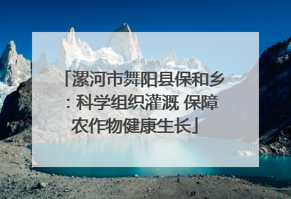 漯河市舞阳县保和乡：科学组织灌溉 保障农作物健康生长