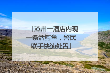 漳州一酒店内现一条活鳄鱼，警民联手快速处置
