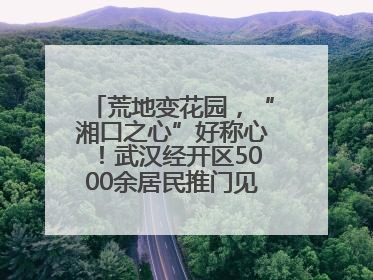 荒地变花园，“湘口之心”好称心！武汉经开区5000余居民推门见绿满眼风景