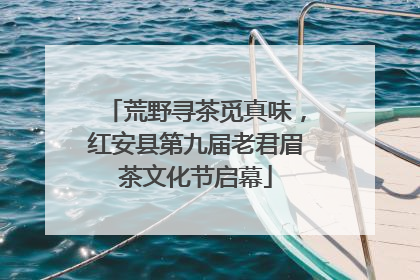 荒野寻茶觅真味，红安县第九届老君眉茶文化节启幕