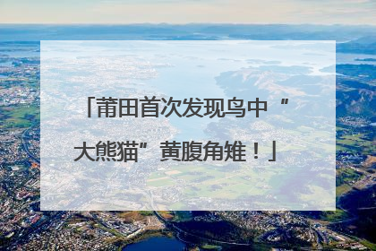莆田首次发现鸟中“大熊猫”黄腹角雉！
