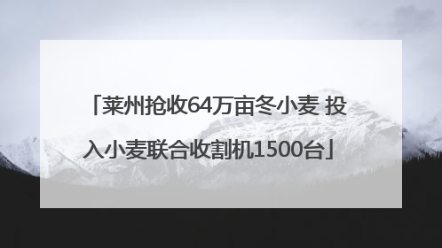莱州抢收64万亩冬小麦 投入小麦联合收割机1500台