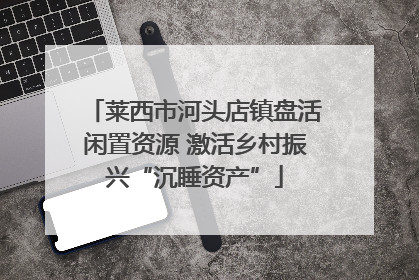 莱西市河头店镇盘活闲置资源 激活乡村振兴“沉睡资产”