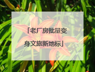 老厂房批量变身文旅新地标