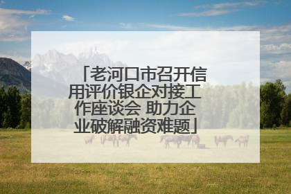 老河口市召开信用评价银企对接工作座谈会 助力企业破解融资难题