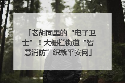 老胡同里的“电子卫士”！大栅栏街道“智慧消防”织就平安网
