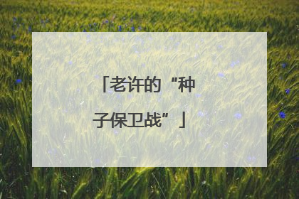 老许的“种子保卫战”