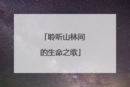 聆听山林间的生命之歌