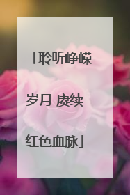 聆听峥嵘岁月 赓续红色血脉