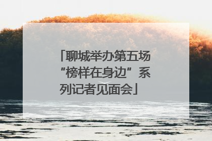 聊城举办第五场“榜样在身边”系列记者见面会