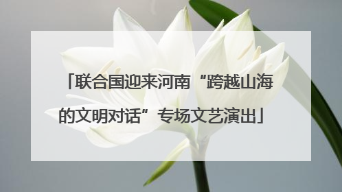 联合国迎来河南“跨越山海的文明对话”专场文艺演出