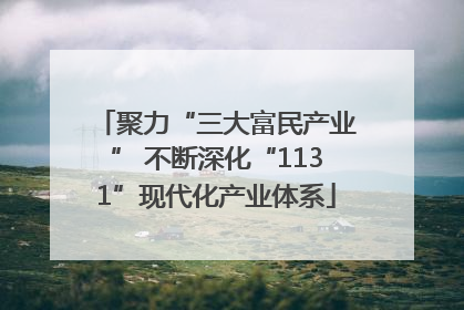 聚力“三大富民产业” 不断深化“1131”现代化产业体系