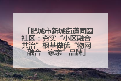 肥城市新城街道同圆社区：夯实“小区融合共治”根基做优“物网融合一家亲”品牌
