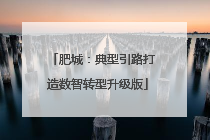 肥城：典型引路打造数智转型升级版