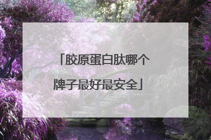 胶原蛋白肽哪个牌子最好最安全