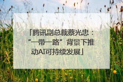 腾讯副总裁蔡光忠：“一带一路”背景下推动AI可持续发展