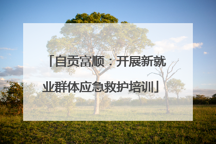 自贡富顺：开展新就业群体应急救护培训