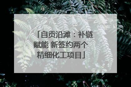 自贡沿滩：补链赋能 新签约两个精细化工项目