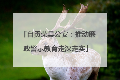 自贡荣县公安：推动廉政警示教育走深走实