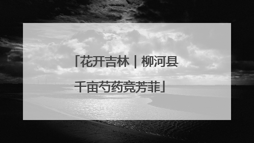 花开吉林｜柳河县千亩芍药竞芳菲