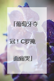 葡萄牙夺冠！C罗掩面痛哭