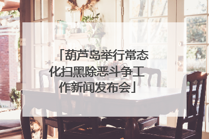 葫芦岛举行常态化扫黑除恶斗争工作新闻发布会