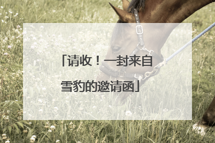 请收！一封来自雪豹的邀请函