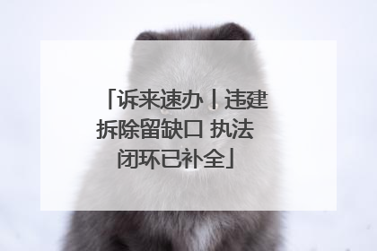诉来速办丨违建拆除留缺口 执法闭环已补全