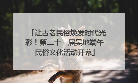 让古老民俗焕发时代光彩！第二十一届吴地端午民俗文化活动开幕