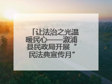 让法治之光温暖民心——溆浦县民政局开展“民法典宣传月” 普法活动