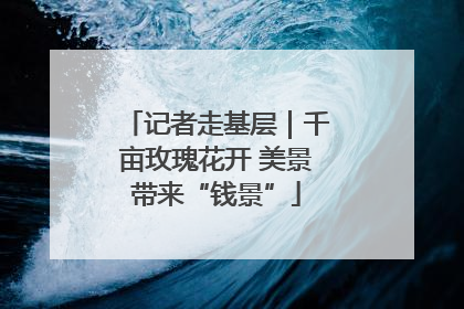 记者走基层｜千亩玫瑰花开 美景带来“钱景”