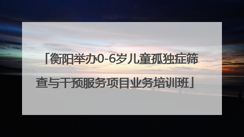衡阳举办0-6岁儿童孤独症筛查与干预服务项目业务培训班