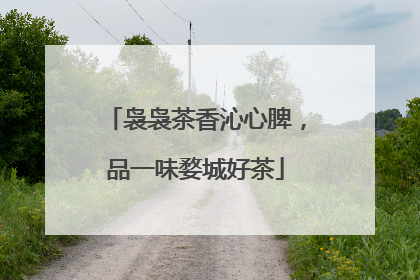 袅袅茶香沁心脾，品一味婺城好茶
