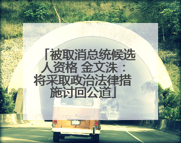 被取消总统候选人资格 金文洙：将采取政治法律措施讨回公道