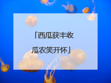 西瓜获丰收 瓜农笑开怀